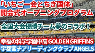 ｢いちご一会とちぎ国体｣開会式オープニングプログラム　全国大会優勝チーム夢のコラボ！幸福の科学学園中高GOLDEN GRIFFINS  宇都宮チアリーディングクラブANGELS　＃いちご一会とちぎ国体