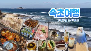 속초여행 브이로그. 어반스테이, uh flat the 속초, 맛집 6군데. ( 백촌막국수, 연탄불생구이, 완도회식당, 대일호방어, 똑이네튀김, 느루, 어나더블루 카페, 리프패럿)