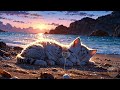 1hour healing sandy beach sunset and kitten 砂浜と夕日と子猫