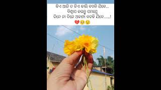 ସମସ୍ତେ ବଦଳି ଯିବେ ଦିନେ ନା ଦିନେ....😟#odia_status🥺#sad_status😔#breakup_status💔#support 🫰