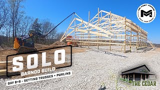 Setting Trusses + Purlins | The Solo Barndo Build | The Cedar | Ep6