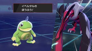 【ポケモン剣盾】雨×イベルタルが相性良好！伝説の必中暴風が弱いわけがない【ゆっくり実況】