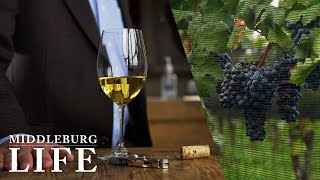 Virginia Wine | The Middleburg Life
