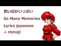 CoCo 思い出がいっぱい So Many Memories Lyrics