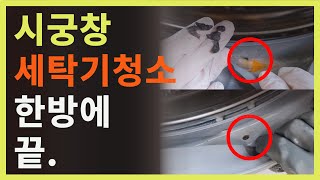 진심..드럼세탁기 여기 청소해야 했네. 🚨초보자면 세탁기 청소 무조건 이렇게 하세요.