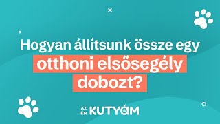 Hogyan állítsunk össze egy otthoni elsősegély dobozt? | Az én kutyám