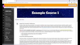 Created Graded Group Discussions