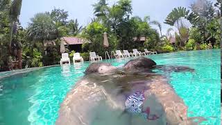 Young pretty couple in love swims dives underwater in the pool and has kissing. 1920x1080