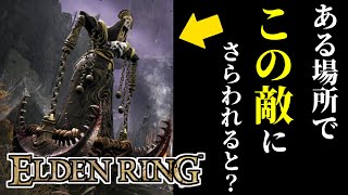 【エルデンリング】人さらい人形にさらわれると？どうなるか知ってる？【ELDEN RING】