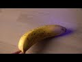 how radioactive are bananas and other radioactive foods