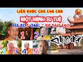 Liên khúc cha cha cha nhạc chế || Một mình Sư Tuệ hạ bệ 5 ông SƯ TÀO LAO