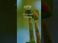 قاری عبد الباسط صاحب رحمہ اللہ ماشاءاللہ beautifullvoice islamicpreacher