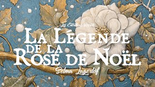 🎁 La Légende de la Rose de Noël, Selma Lagerlöf (Conte de Noël)