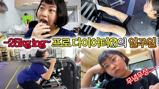 [초고도비만 탈출기] 주 2회로 피티 늘린 다이어터의 최후🤪💦 | 시간에 쫓기는 직장인 다이어터의 삶 | 다이어트제품 쟁여두기 | 다이어트 토마토스튜 | 닭가슴살 유목민의 고민