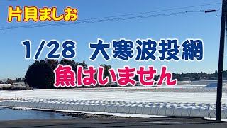 片貝投網ましお　1/28 九十九里投網 今、魚はいないの巻