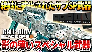 【CODBO6】スナイパーで無双⁉最も影の薄い調整されたSPサブ武器を使った結果【BO6スナイパー】