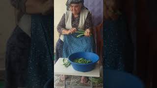 Karacalar köyü emirdağ