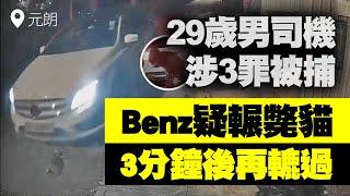 Benz男元朗疑輾斃貓 下車查看 3分鐘後再轆過駛走！29歲司機涉3罪被捕｜Channel C HK