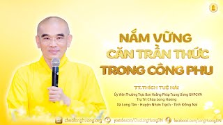 Nắm Vững \