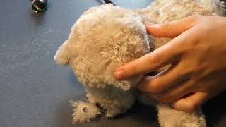 How to make a Spy Cam Teddy Bear