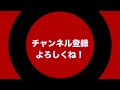 【海外旅行】ドイツ年間イベント！騎士祭り・南瓜祭り・玉葱祭り！？オクトーバーフェストは実は10月がメインじゃない！？お金節約！ホテル代、電車代を安く済ませよう！【2023年・下半期】