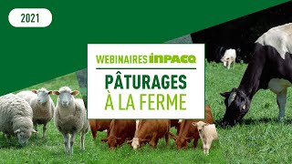 Webinaire INPACQ Pâturages à la ferme - Les productions bovine et ovine et les défis au pâturage