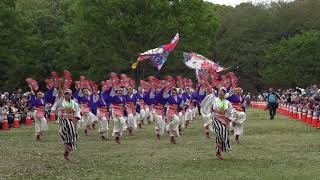 「りぐる」 2019 17thあっぱれ富士 芝生ステージ 4K