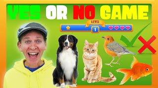 Animals | Yes or No Game | Dream English Kids