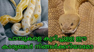 പാമ്പുകളെ കുറിച്ചുള്ള ഈ കാര്യം നിങ്ങളെ ഞെട്ടിക്കും.#shorts