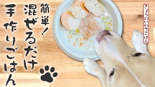 【簡単手作り犬ご飯】 混ぜるだけ！簡単手作りごはん  【帝塚山ハウンドカム】