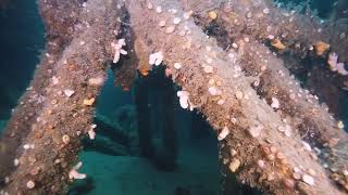 The lough Gary Wreck Rathlin Island