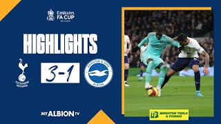 FA Cup Highlights: Spurs 3 Albion 1