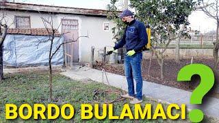 AĞAÇLARA BORDO BULAMACI UYGULAMASI NASIL YAPILIR?-AĞAÇ HASTALIKLARINI ÖNLE-BORDEAUX SLURRY-FUNGUSIT