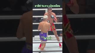 ยกที่1เริ่ม ไฮไลท์1 #onelumpinee58 #อาลีฟ #สเดชะพันธ์ #zhangpeimian #kickboxing #muaythai #one