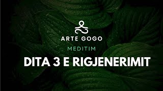 Meditim rigjenerimi dhe sherimi - Dita 3