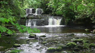 Forest Waterfall Nature Sounds for Sleeping - Relaxing Water Flowing Sound Mindfulness Meditation