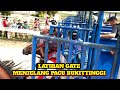 Latihan GATE Menjelang Pacu Kuda Bukittinggi Sumatra Barat