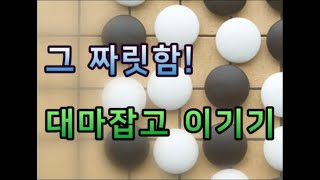 대마! 얼마나 잡아봤니? 대마잡고 바둑을 이기는 그 짜릿함을 느껴봐