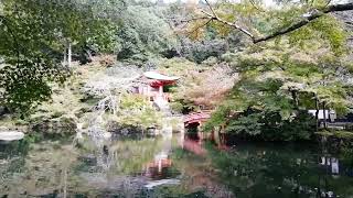 醍醐寺　弁天堂前　紅葉🍁　伽藍エリア　10月下旬　京都　無音