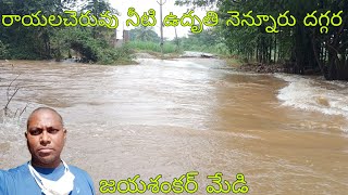 రాయలచెరువు నీటి ఉదృతి నెన్నూరు దగ్గర | rayalacheruvu water at nennuru