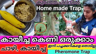 കായീച്ച കെണി | ഒറ്റ ഉപയോഗത്തിൽ കായീച്ച, ചാഴി 🐞മുതലായ കീടകളുടെ ശല്യം തീരും | Home made PHEROMONETRAP