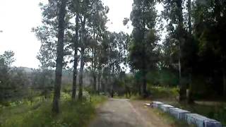 Journey in Kolli Hills