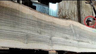 Di lelang negara senilai 100 juta,inilah wujud kayu tua terpanjang di sawmill.woodworking