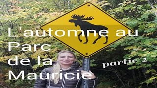 -VLOG- Parc national de la Mauricie [Part 2]🍁