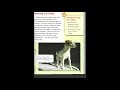 Helping Paws (Read Aloud)