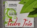 pedro trio ombodi csávó vagyok