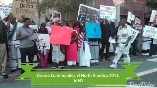 Oromo American  United