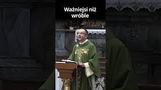 Ważniejsi niż wróble (homilia 25.) - o. Marcin Ciechanowski #shorts