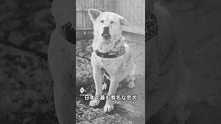 忠犬ハチ公物語