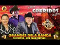 Chuy Lizárraga, Julio Preciado, El Coyote - Puros Corridos Mix Para Pistear - 30 Exitos Inolvidables